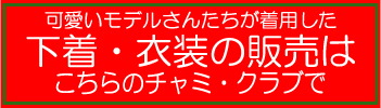 �g�p�ς݈ߑ��E�����E�`���~�N���u